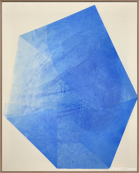 VANHULLEBUSCH Catherine - I'd blend in if my shades didn't argue